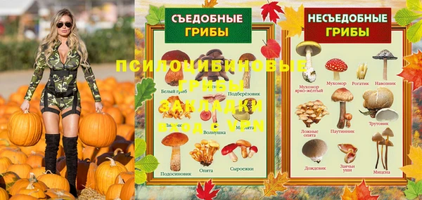 кокс Бородино
