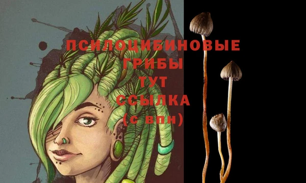 кокс Бородино