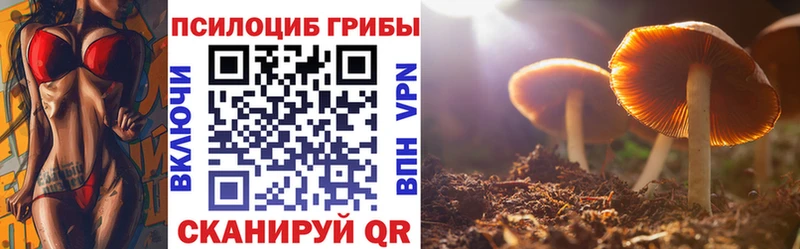 Галлюциногенные грибы Magic Shrooms Купить где Дятьково