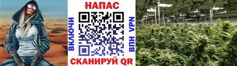 Конопля планчик  Купить закладки  Дятьково 
